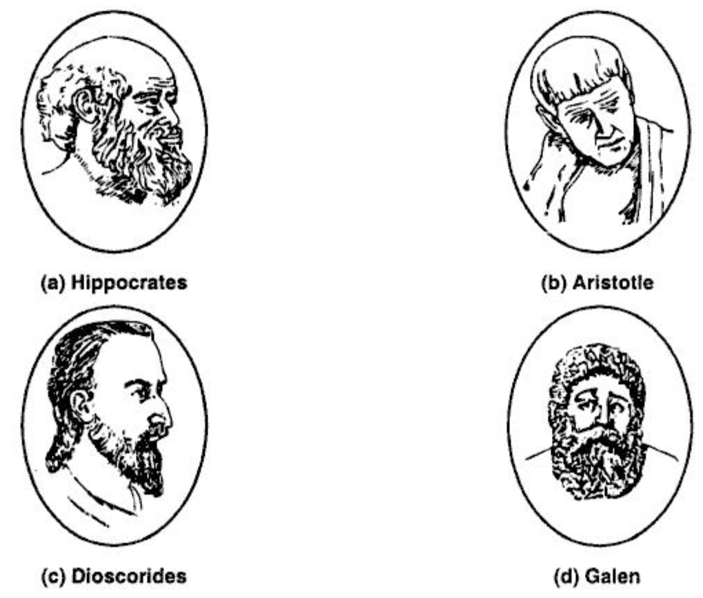 The Great Contributors