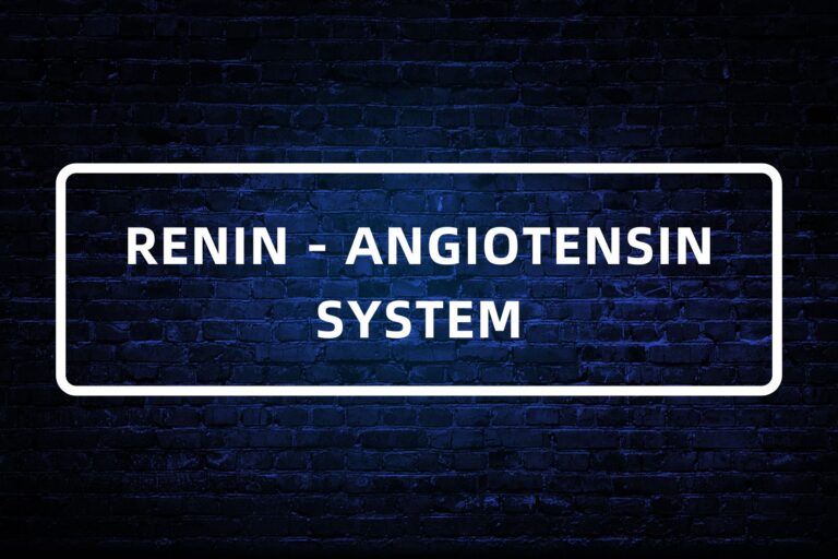 19. RENIN - ANGIOTENSIN SYSTEM