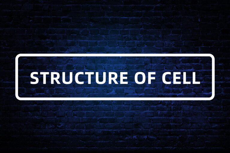 2. STRUCTURE OF CELL