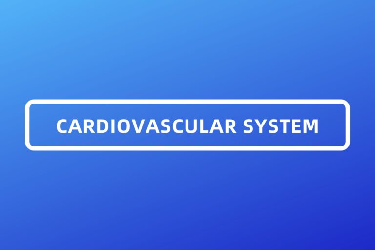 CARDIOVASCULAR SYSTEM