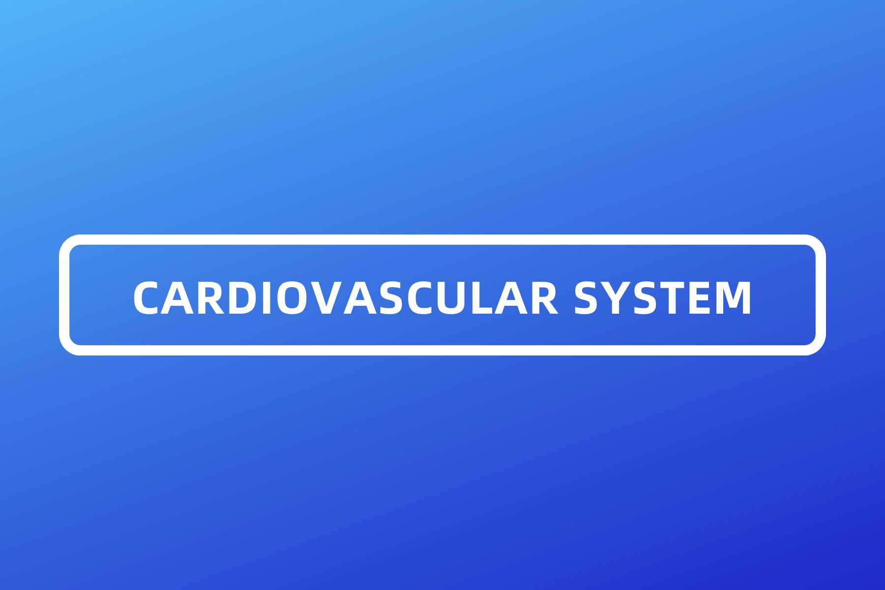 2 Cardiovascular System Dpharm Guru