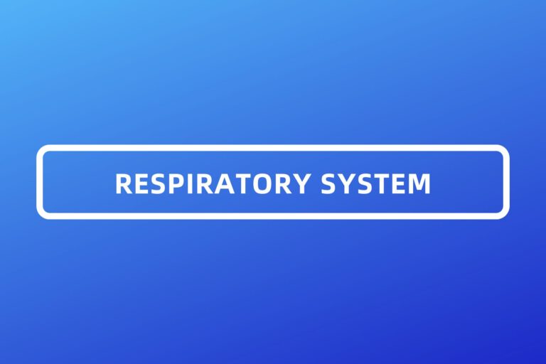 RESPIRATORY SYSTEM