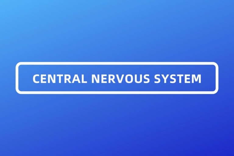 CENTRAL NERVOUS SYSTEM