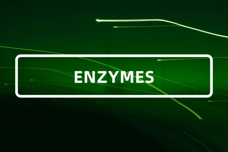 ENZYMES