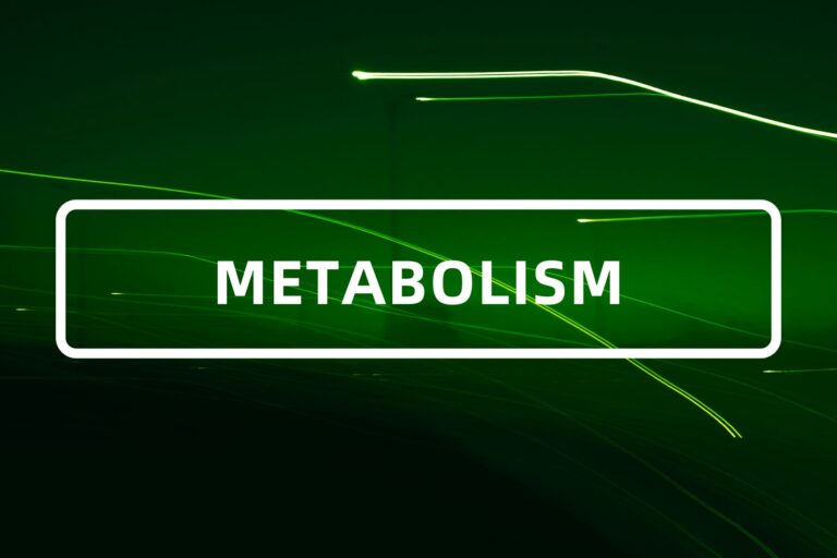 METABOLISM