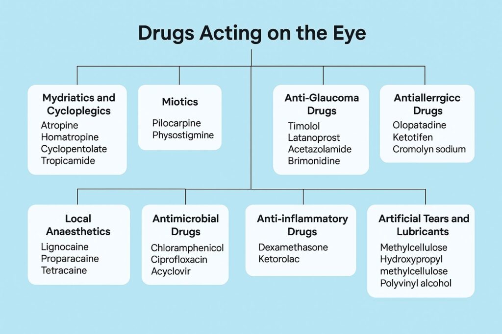 DRUGS ACTING ON THE EYE