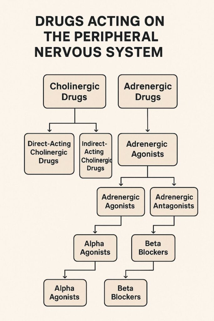CLASSIFICATION OF DRUGS ACTING ON THE PERIPHERAL NERVOUS SYSTEM