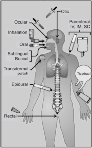 Routes of Drug administration